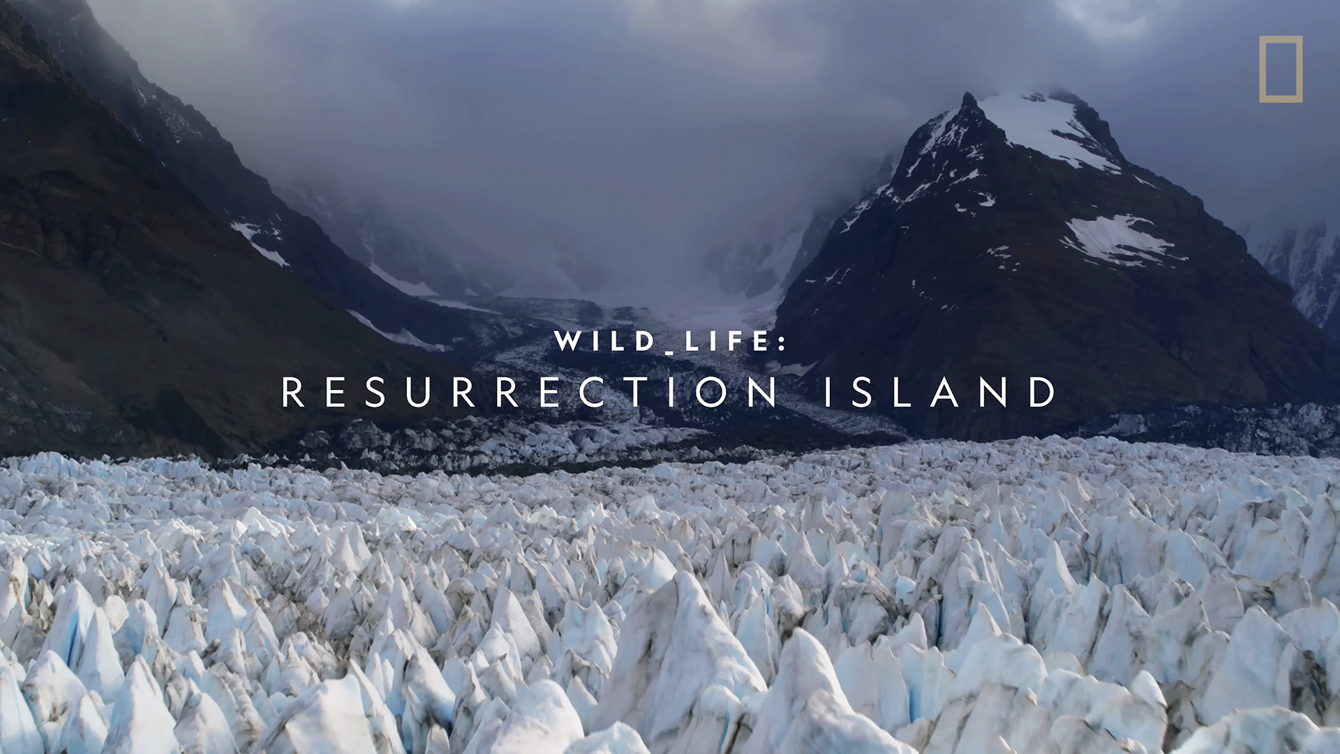 Wildlife: Resurrection Island — brand motion design